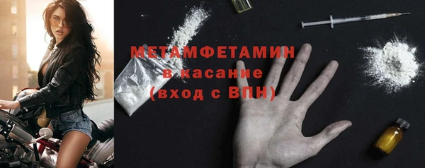 крисы Абаза