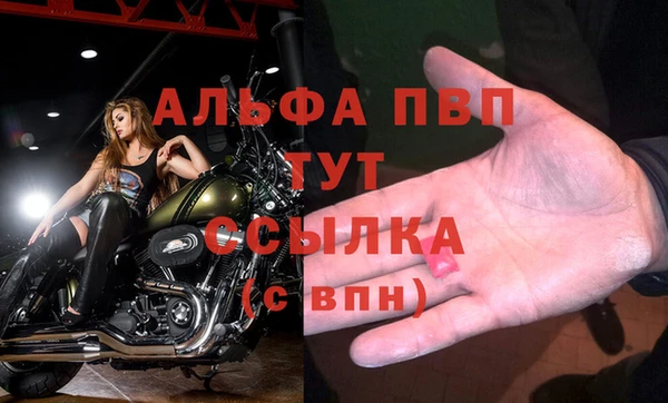крисы Абаза