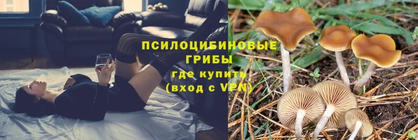 гашик Абинск