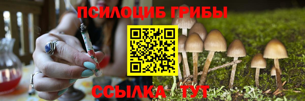закладка  Галлюциногенные грибы Cubensis  Вход с VPN  Дубна  Псилоцибиновые грибы GOLDEN TEACHER 