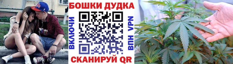 Бошки Шишки сатива  Дубна 