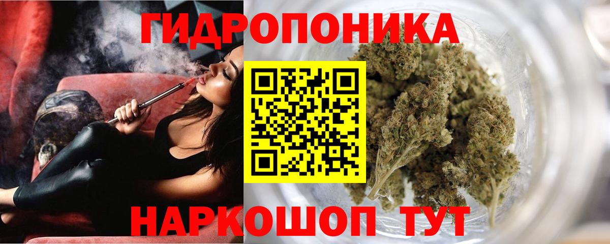 Бошки марихуана Amnesia Дубна